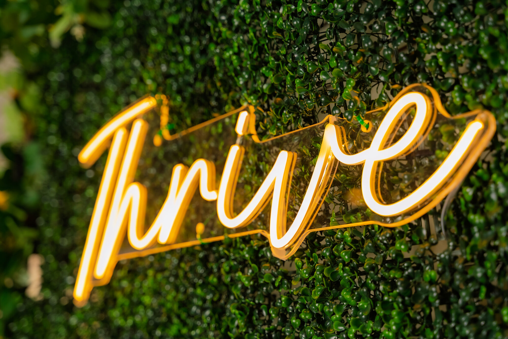 Neon sign saying 'Thrive' on green wall
